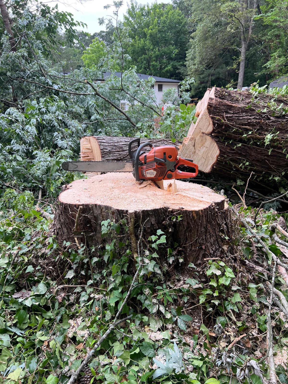 Stump Removal, Atlanta