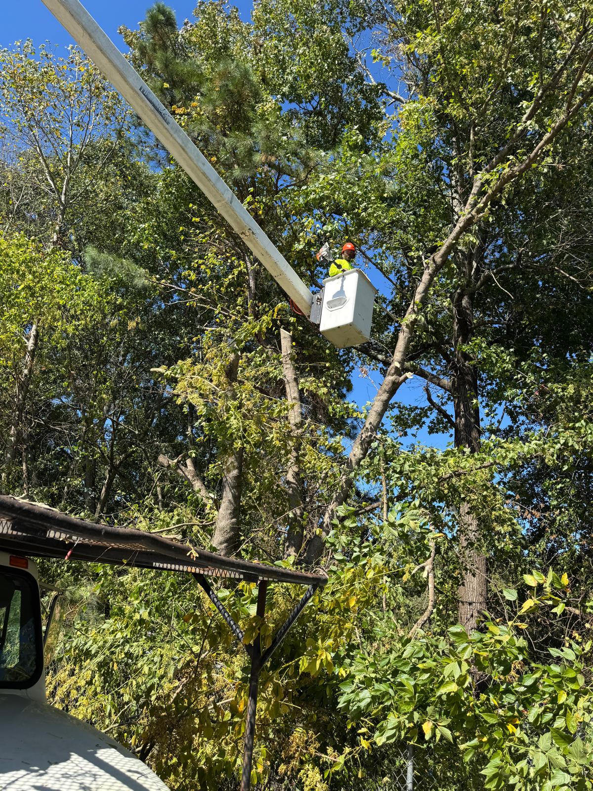Bucket Truck Canopy Service, Atlanta